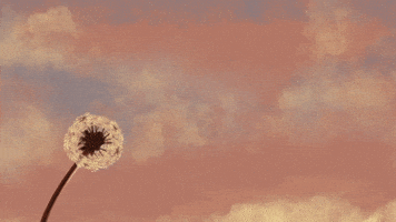 marisa_martin sunset wind peaceful wish GIF