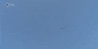 Data Center Ai GIF by PBS Digital Studios