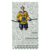 Bakkeolsen Sticker by Storhamar Hockey