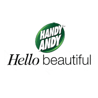 Shine Wipe Sticker by Unilever South Africa