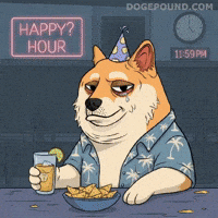 Sad Happy Hour GIF by Doge Pound