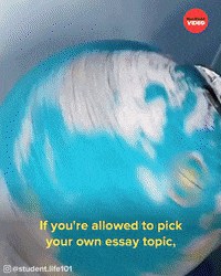 Angry Student Life GIF by BuzzFeed