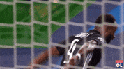 Lyon GIF by Olympique Lyonnais