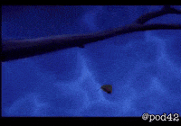 Sad Captain Underpants GIF