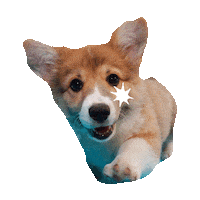 Puppy Sticker by imoji