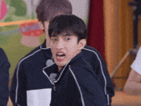 Dk 세븐틴 GIF