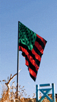 African American Art GIF by Mr. Well-Travelled