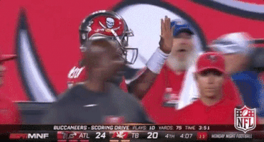 Tampa Bay Buccaneers Football GIF by NFL