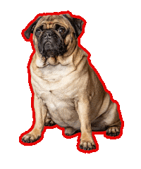 Dog Sticker by Nikos-Ouzeri