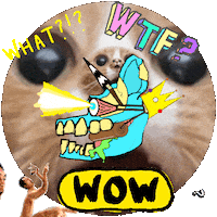 What What Wow Sticker