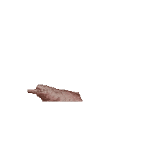 Water Swimming Sticker by Fundación Omacha