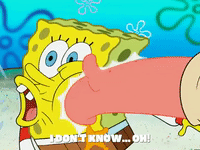 season 5 GIF by SpongeBob SquarePants