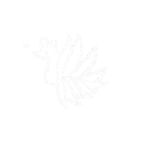 Hilystarry fox 可愛 手繪 nine tails Sticker