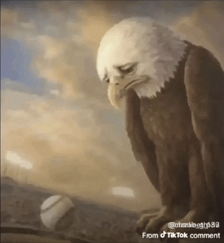 Ball Usa GIF