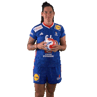 Ffhandball Celebrate Sticker by Fédération Française de Handball