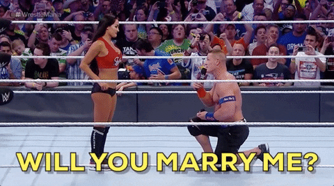 propose will you marry me GIF by WWE