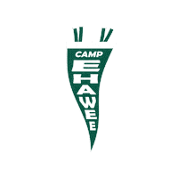Girl Scout Camp Sticker by GSBadgerland