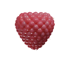 3D Fruit Sticker by Nico Daunt