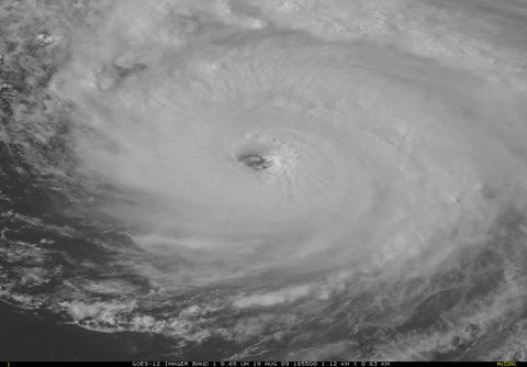 hurricane GIF