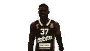Derekogbeide Sticker by kkcedevitaolimpija
