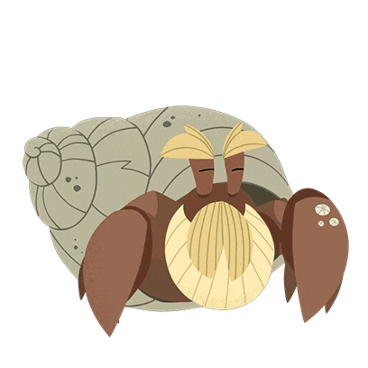 Hermit Crab Animation Sticker by Puffin Rock