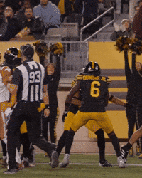 Tiger-Cats Football GIF by Hamilton Sports Group