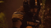 Tiger-Cats Cfl GIF by Hamilton Sports Group