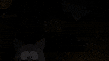 eric cartman kitty GIF by South Park 