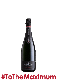 ferraritrento birthday natale brindisi compleanno Sticker