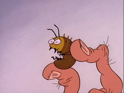 Ren And Stimpy Nicksplat GIF by NickRewind