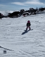 Toddler Does Her 'First Jumps' on Snowboard