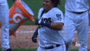 clap astudillo GIF by MLB