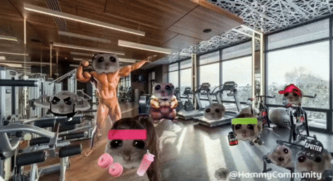 Working Out GIF by Sad Hamster