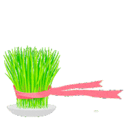 Novruz Semeni Sticker by Araz Supermarket