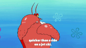 season 9 episode 13 GIF by SpongeBob SquarePants