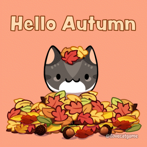 Fall Season Cat GIF by Mino Games