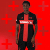 Posing Bayer 04 GIF by Bayer 04 Leverkusen