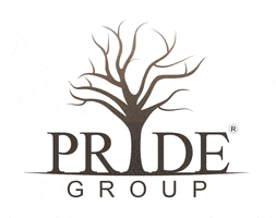 pride_group pridegroup sudendushah sudendu companiespride GIF