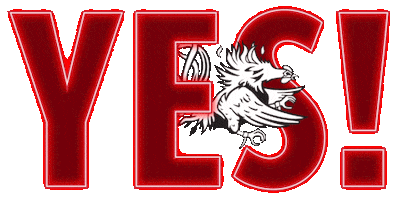 South Carolina College Sticker by University of South Carolina