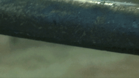easttw giphyupload GIF