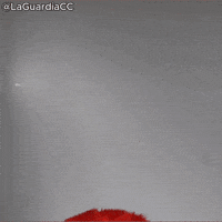 Pop Up Hello GIF by LaGuardia Community College