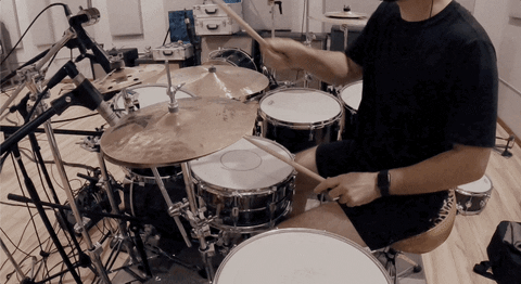 State Champs GIF by Pure Noise Records