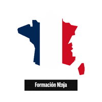 France Flag Sticker by Formación Ninja