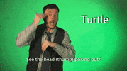 sign language turtle GIF by Sign with Robert