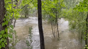 Creek Overflows as Detroit Suburb Hit by Flooding
