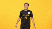 Sport Calstatela GIF by Cal State LA Golden Eagles