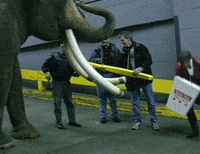 mike sweeney conan25 GIF by Team Coco