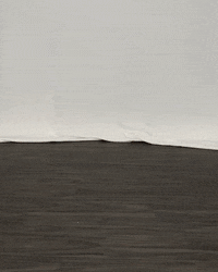 Letsgopeay GIF by Austin Peay Athletics