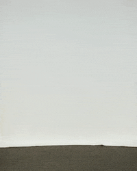 Letsgopeay GIF by Austin Peay Athletics