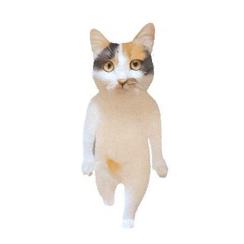 Suzupon Sticker